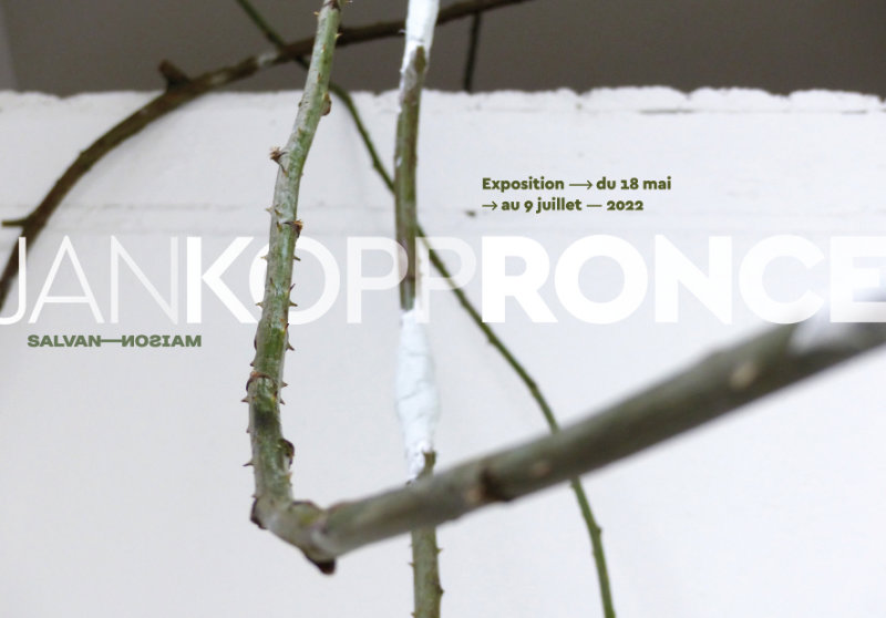 Installation de ronces pour Jan Kopp à la Maison Salvan. Identité graphique de l'exposition par Yann Febvre : flyer.