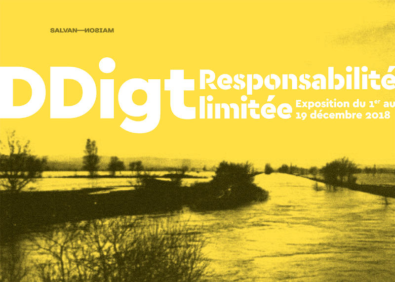 Carton d'invitation de l'exposition “Responsabilité limitée” de DDigt à la Maison Salvan par Yann Febvre.