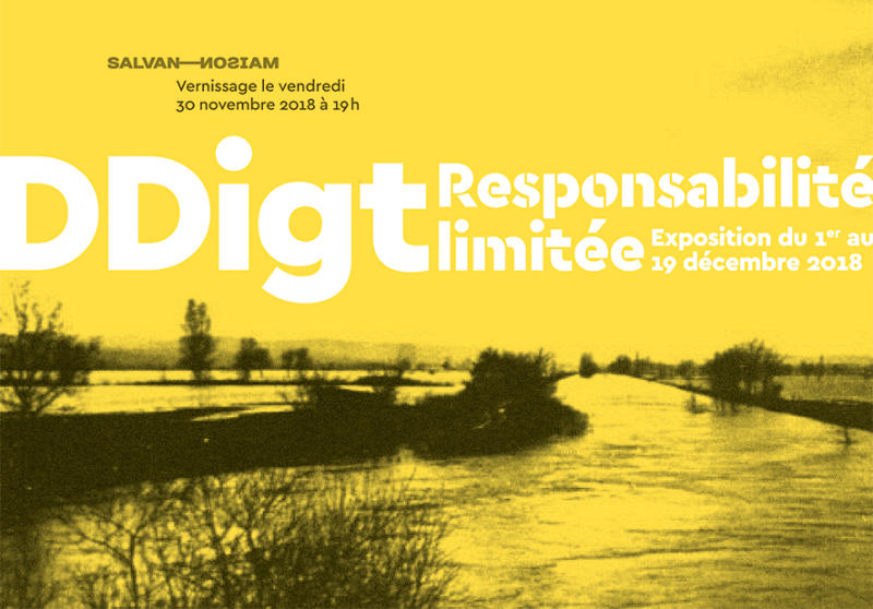 Flyer de l'exposition “Responsabilité limitée” de DDigt à la Maison Salvan par Yann Febvre.
