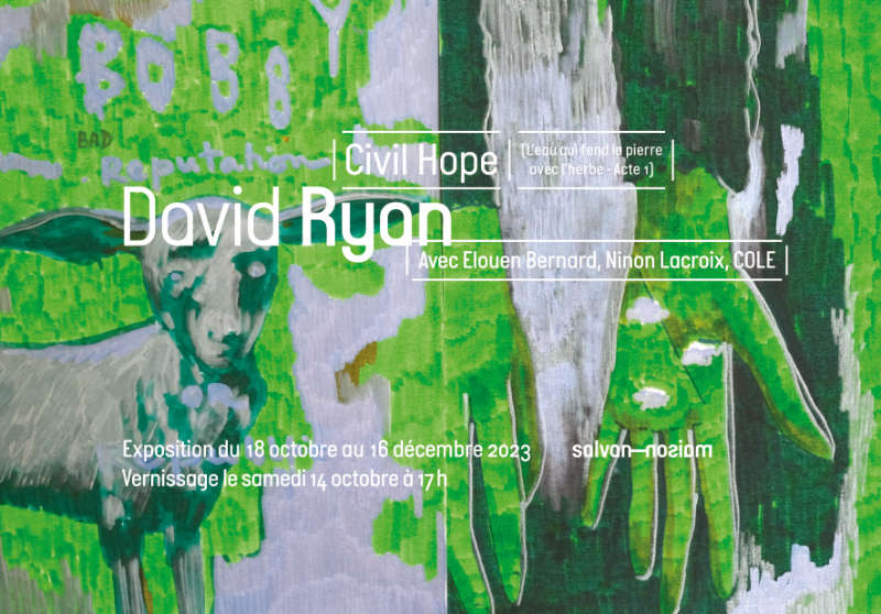 Espace réflexif et poétique… Flyer de l'exposition de David Ryan “Civil Hope (l’eau qui fend la pierre avec l’herbe – Acte 1)” à la Maison Salvan, par Yann Febvre.