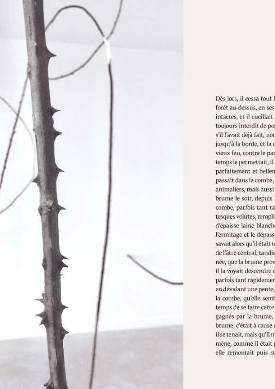 De ronces et d’art, mêlés. Édition “Ronce” de Jan Kopp et Marc Graciano pour la Maison Salvan par Yann Febvre.