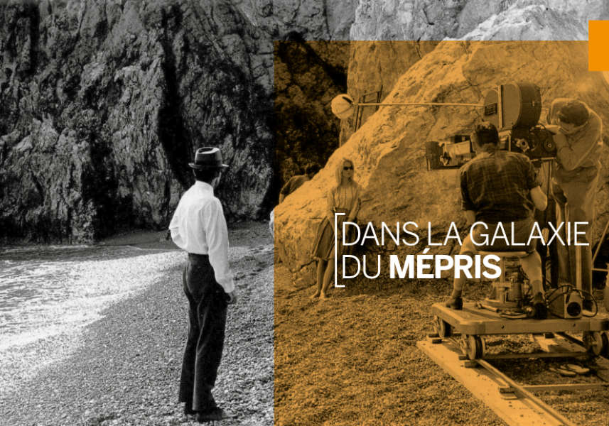 Catherine Deneuve, reine du 8e festival “Zoom arrière, spécial 50 ans” à la Cinémathèque de Toulouse. Programme de l'évènement par Yann Febvre.